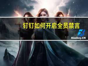钉钉如何开启全员禁言（讲师已开启全员禁言）