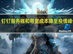 钉钉服务器和带宽成本降至疫情峰值的1/4