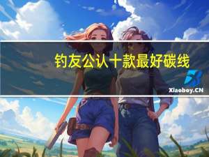 钓友公认十款最好碳线