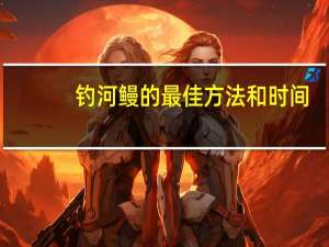 钓河鳗的最佳方法和时间