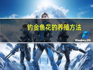 钓金鱼花的养殖方法