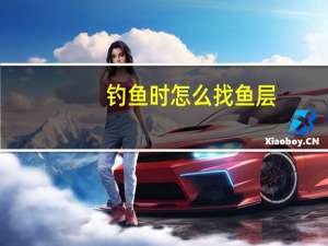 钓鱼时怎么找鱼层