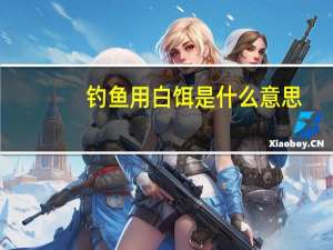钓鱼用白饵是什么意思