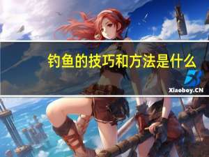钓鱼的技巧和方法是什么