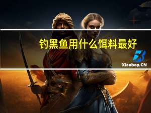 钓黑鱼用什么饵料最好