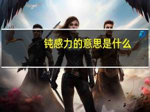 钝感力的意思是什么