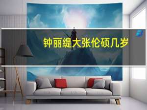 钟丽缇大张伦硕几岁