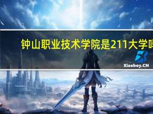 钟山职业技术学院是211大学吗