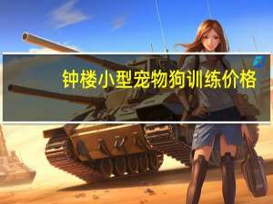 钟楼小型宠物狗训练价格
