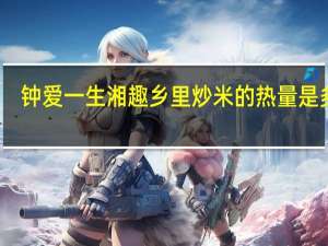 钟爱一生 湘趣乡里炒米的热量是多少