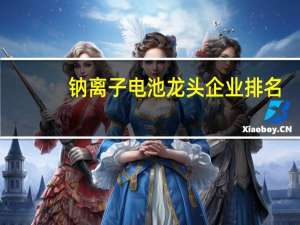 钠离子电池龙头企业排名