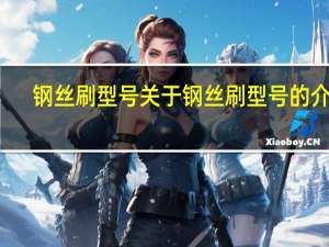 钢丝刷型号 关于钢丝刷型号的介绍