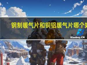 钢制暖气片和铜铝暖气片哪个好