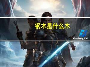 钢木是什么木
