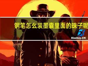 钢笔怎么装墨囊里面的珠子呢（钢笔怎么装墨囊）