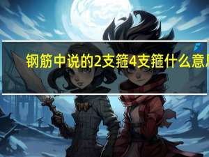 钢筋中说的2支箍4支箍什么意思