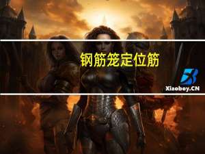 钢筋笼定位筋（定位筋）