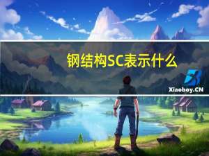 钢结构SC表示什么