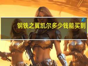 钢铁之翼凯尔多少钱能买到（钢铁之翼凯尔多少钱）