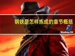 钢铁是怎样炼成的章节概括