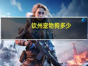 钦州宠物狗多少