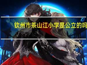 钦州市茶山江小学是公立的吗