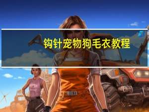 钩针宠物狗毛衣教程