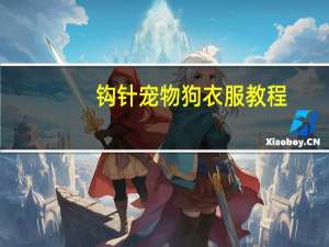 钩针宠物狗衣服教程