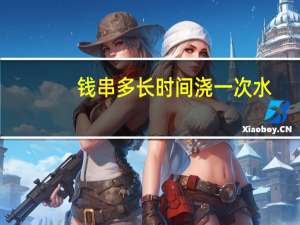 钱串多长时间浇一次水