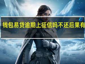 钱包易贷逾期上征信吗 不还后果有哪些？