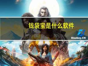 钱袋宝是什么软件（钱袋宝是什么）