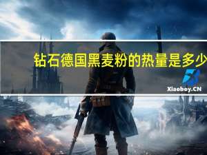 钻石 德国 黑麦粉的热量是多少