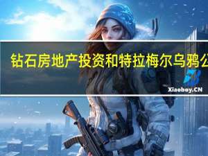 钻石房地产投资和特拉梅尔乌鸦公司1.28亿美元用于亚马逊设施