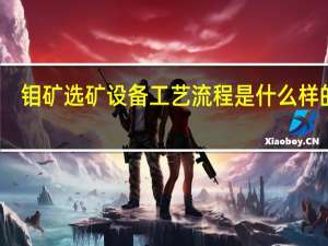 钼矿选矿设备工艺流程是什么样的呢