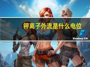 钾离子外流是什么电位