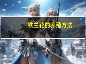 铁兰花的养殖方法
