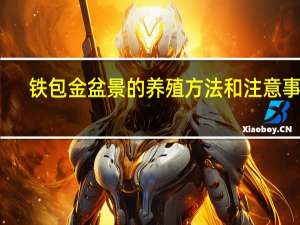 铁包金盆景的养殖方法和注意事项