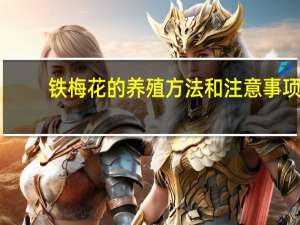 铁梅花的养殖方法和注意事项