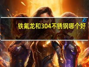 铁氟龙和304不锈钢哪个好