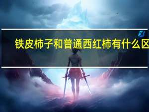 铁皮柿子和普通西红柿有什么区别