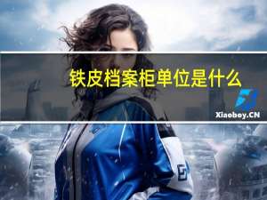 铁皮档案柜单位是什么（铁皮档案柜）