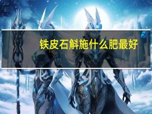 铁皮石斛施什么肥最好