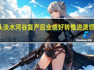 铁矿石巨头淡水河谷复产后业绩好转 推进溃坝事件的全面赔偿