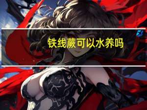铁线蕨可以水养吗