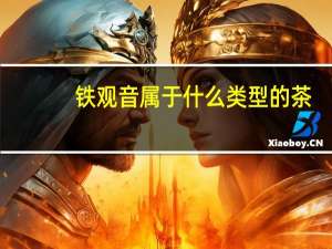 铁观音属于什么类型的茶