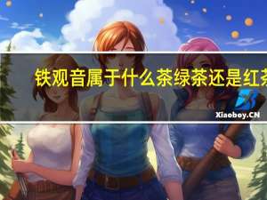 铁观音属于什么茶绿茶还是红茶（铁观音属于什么茶）