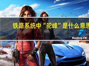 铁路系统中 “驼峰”是什么意思