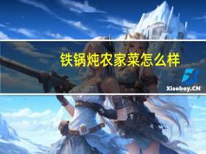 铁锅炖农家菜怎么样