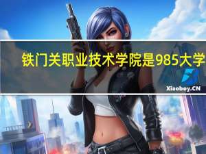 铁门关职业技术学院是985大学吗