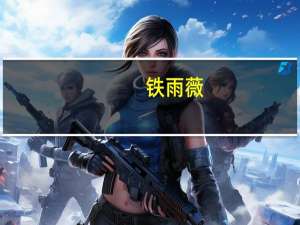 铁雨薇（关于铁雨薇的介绍）